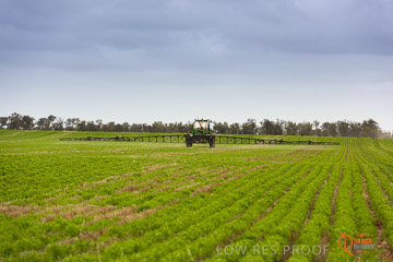 VITERRA 2013 / VITERRA_GLENVALE_FARMS_238_140909