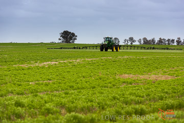 VITERRA 2013 / VITERRA_GLENVALE_FARMS_239_140909