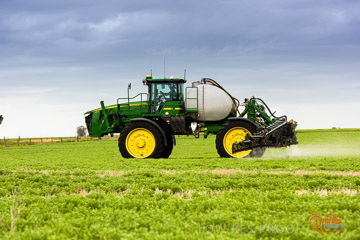 VITERRA 2013 / VITERRA_GLENVALE_FARMS_245_140909