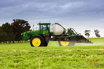 VITERRA 2013 / VITERRA_GLENVALE_FARMS_246_140909