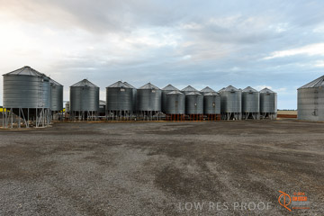 VITERRA 2013 / VITERRA_GLENVALE_FARMS_256_140909