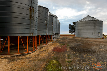 VITERRA 2013 / VITERRA_GLENVALE_FARMS_258_140909