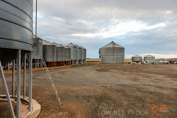 VITERRA 2013 / VITERRA_GLENVALE_FARMS_260_140909