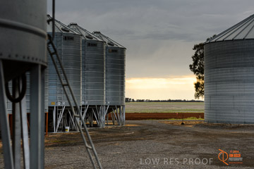 VITERRA 2013 / VITERRA_GLENVALE_FARMS_262_140909
