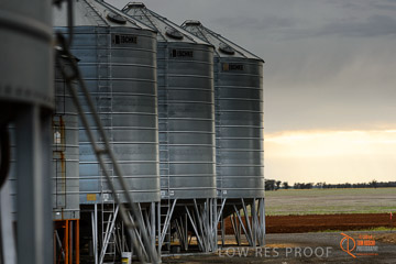 VITERRA 2013 / VITERRA_GLENVALE_FARMS_263_140909