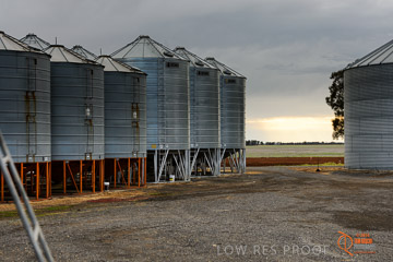 VITERRA 2013 / VITERRA_GLENVALE_FARMS_265_140909