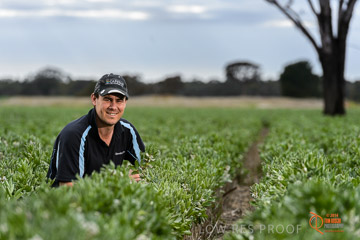 VITERRA 2013 / VITERRA_GLENVALE_FARMS_266_140909