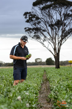VITERRA 2013 / VITERRA_GLENVALE_FARMS_270_140909