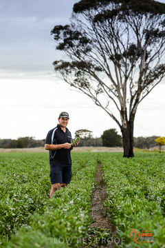 VITERRA 2013 / VITERRA_GLENVALE_FARMS_275_140909