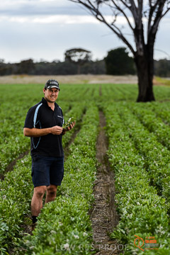 VITERRA 2013 / VITERRA_GLENVALE_FARMS_276_140909