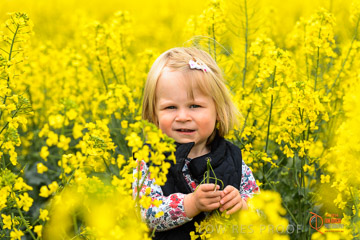 VITERRA 2013 / VITERRA_GLENVALE_FARMS_296_140909