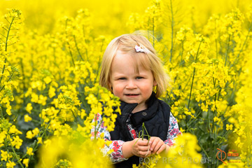 VITERRA 2013 / VITERRA_GLENVALE_FARMS_297_140909