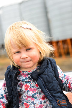 VITERRA 2013 / VITERRA_GLENVALE_FARMS_340_140909