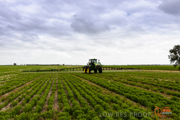 VITERRA 2013 / VITERRA_GLENVALE_FARMS_360_140909