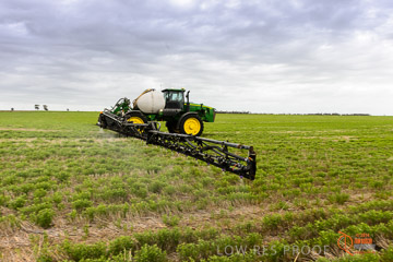VITERRA 2013 / VITERRA_GLENVALE_FARMS_363_140909