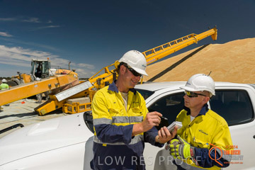 VITERRA 2013 / BOWMANS_192_141121