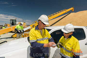 VITERRA 2013 / BOWMANS_195_141121