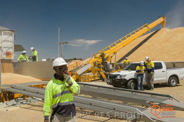 VITERRA 2013 / BOWMANS_210_141121