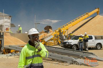 VITERRA 2013 / BOWMANS_212_141121