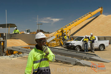 VITERRA 2013 / BOWMANS_217_141121