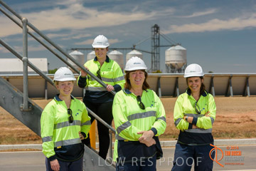 VITERRA 2013 / BOWMANS_233_141121