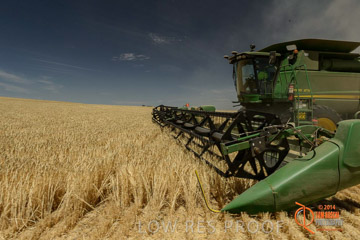 VITERRA 2013 / HARVESTING_DANIELS_034_141121