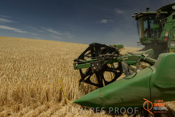 VITERRA 2013 / HARVESTING_DANIELS_037_141121
