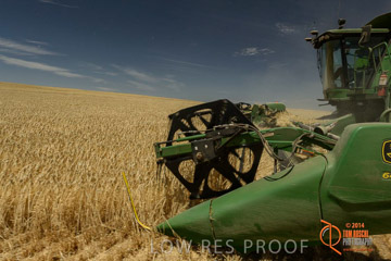 VITERRA 2013 / HARVESTING_DANIELS_038_141121