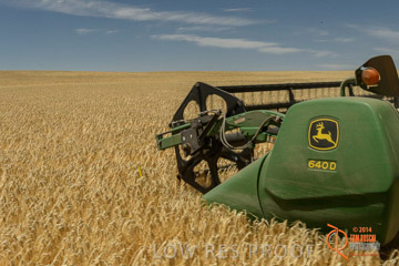VITERRA 2013 / HARVESTING_DANIELS_039_141121