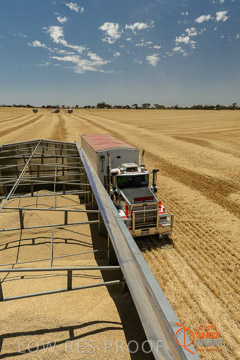 VITERRA 2013 / HARVESTING_DANIELS_052_141121