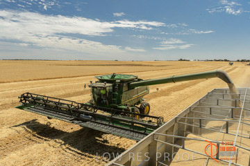 VITERRA 2013 / HARVESTING_DANIELS_066_141121