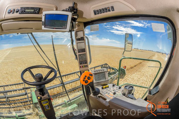 VITERRA 2013 / HARVESTING_DANIELS_070_141121