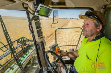 VITERRA 2013 / HARVESTING_DANIELS_072_141121