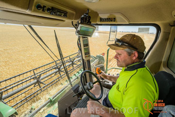 VITERRA 2013 / HARVESTING_DANIELS_075_141121