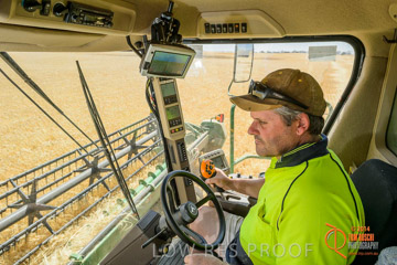 VITERRA 2013 / HARVESTING_DANIELS_077_141121