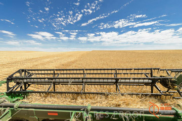 VITERRA 2013 / HARVESTING_DANIELS_086_141121