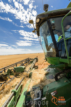 VITERRA 2013 / HARVESTING_DANIELS_088_141121