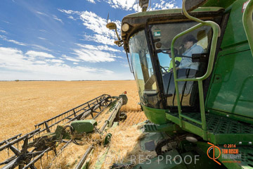 VITERRA 2013 / HARVESTING_DANIELS_092_141121