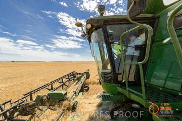 VITERRA 2013 / HARVESTING_DANIELS_093_141121