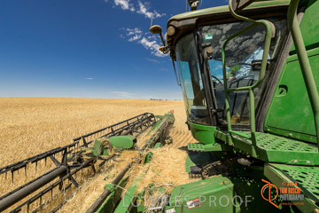 VITERRA 2013 / HARVESTING_DANIELS_095_141121