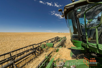 VITERRA 2013 / HARVESTING_DANIELS_096_141121