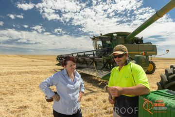 VITERRA 2013 / HARVESTING_DANIELS_105_141121