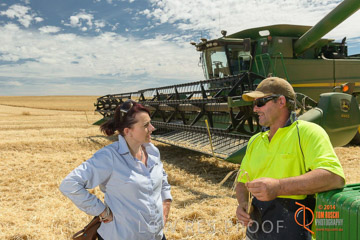 VITERRA 2013 / HARVESTING_DANIELS_109_141121