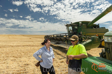 VITERRA 2013 / HARVESTING_DANIELS_112_141121