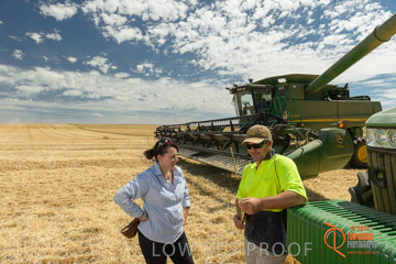 VITERRA 2013 / HARVESTING_DANIELS_113_141121