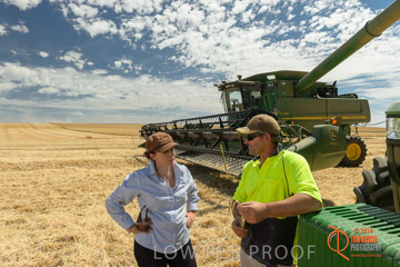 VITERRA 2013 / HARVESTING_DANIELS_114_141121