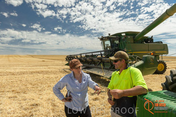 VITERRA 2013 / HARVESTING_DANIELS_115_141121