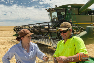 VITERRA 2013 / HARVESTING_DANIELS_118_141121