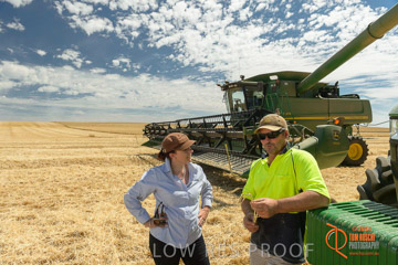 VITERRA 2013 / HARVESTING_DANIELS_119_141121