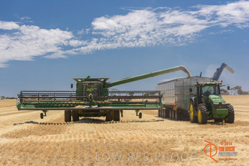 VITERRA 2013 / HARVESTING_DANIELS_123_141121